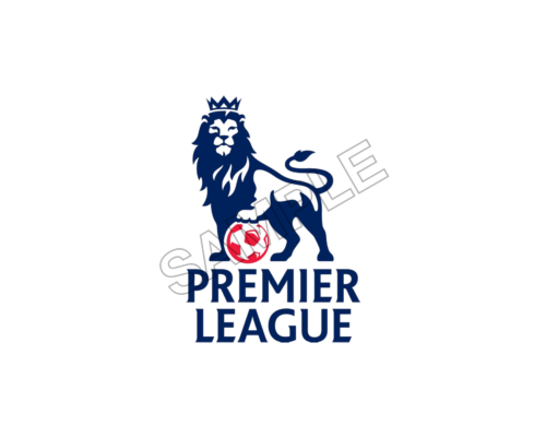 premier league sample image png