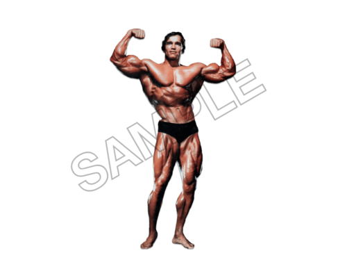 arnold schwarzenegger sample image png