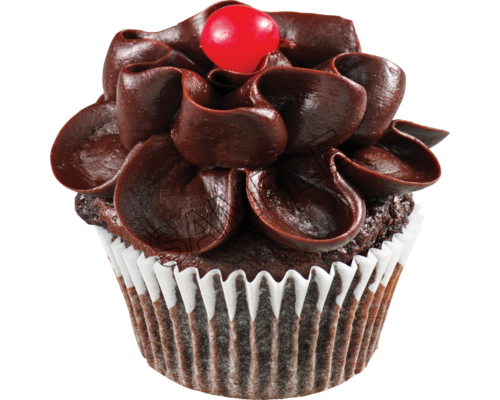 chocolate cake sample image png