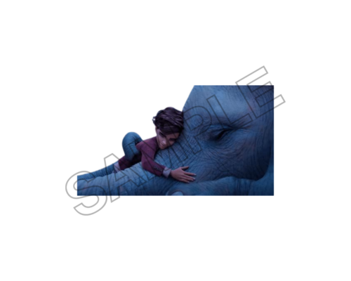 The Magician Elephant sample image png