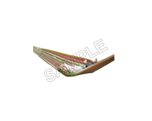 tahiti hammock sample image png