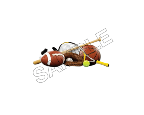 sport and summer activities sample image png