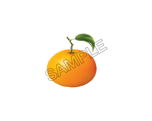 orange well-being sample image png