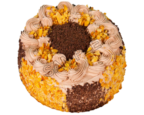 chocolate cake sample image png