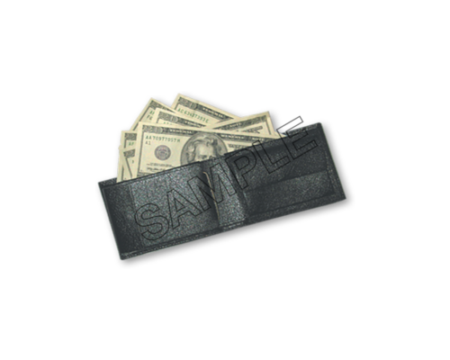 wallet cash sample image png