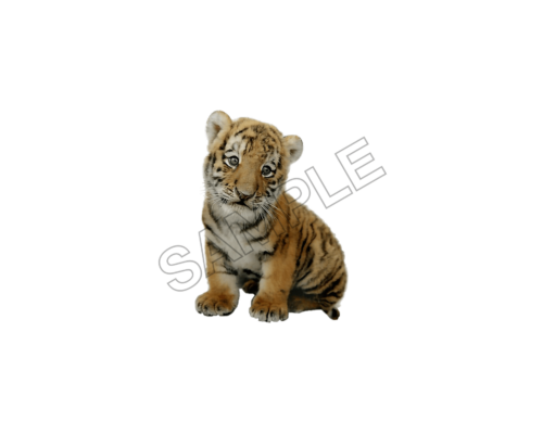 animals sample image png