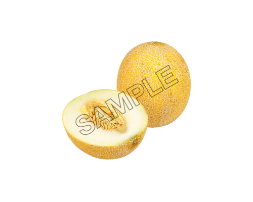 melon delicious sample image png