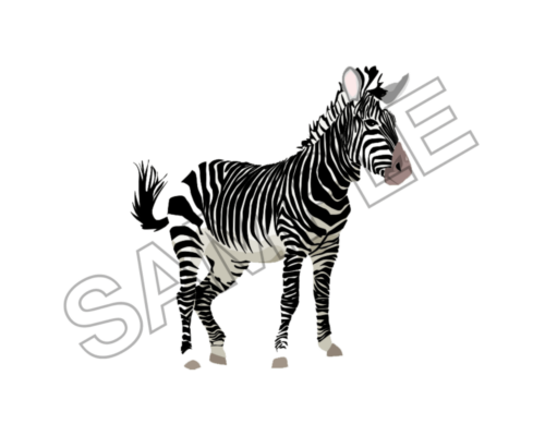 zebra sample image png