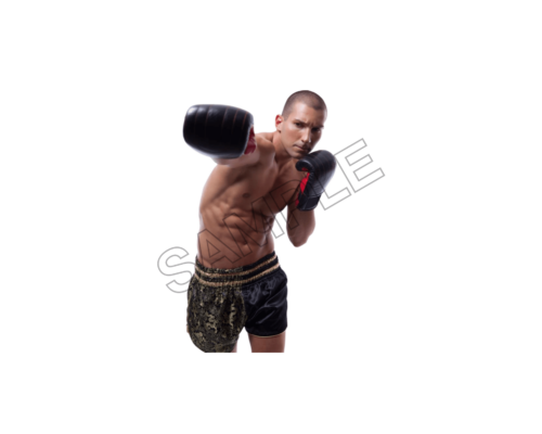 boxer sample image png