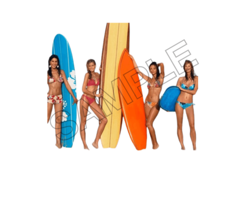 summer beach sample image png