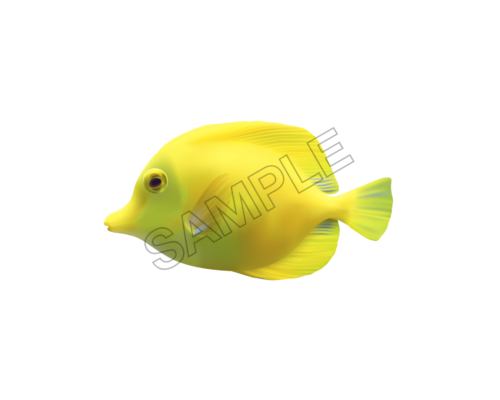 fish sample image png