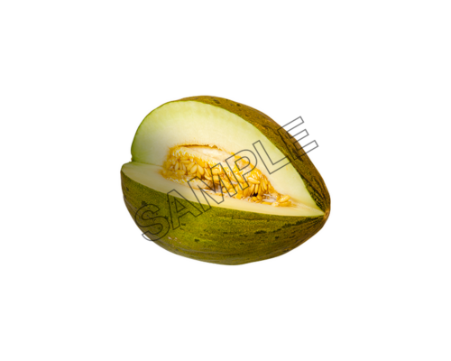 melon scrumptious sample image png