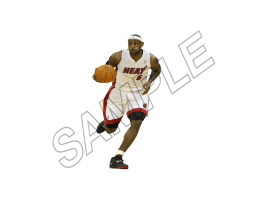 lebron sample image png