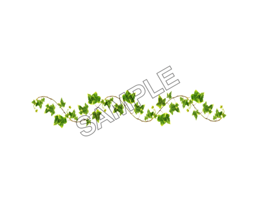 vine woody sample image png