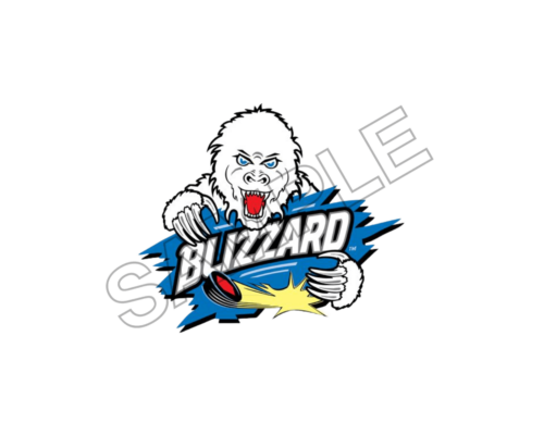 blizzard sample image png