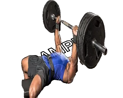 Bench Press png