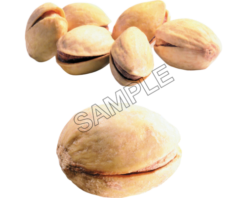 Pistachio Great sample image png