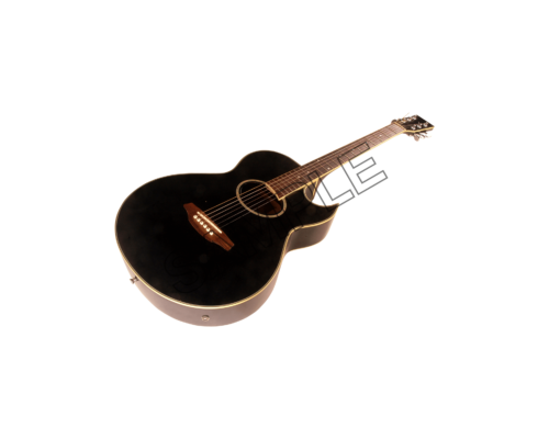 acoustic round shoulder guitar sample png