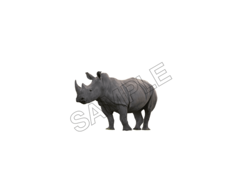 animals sample image png