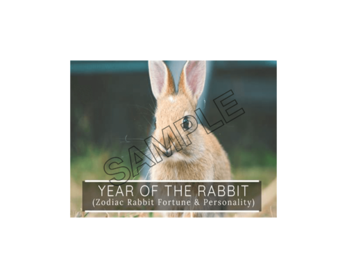 Chinese New Year of Rabbit