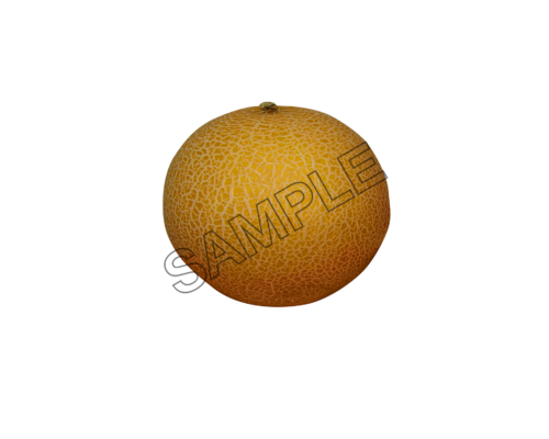 melon rich sample image png