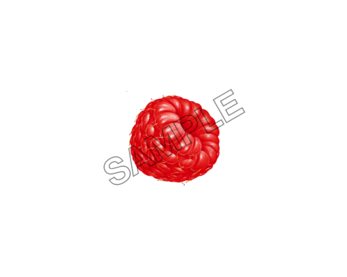 raspberry tempting sample image png