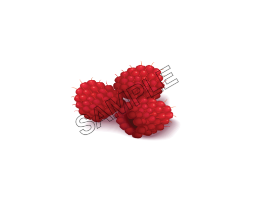 raspberry trio sample image png