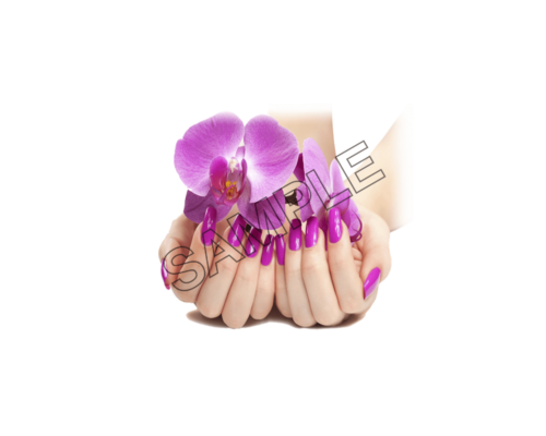 finger nails with flowers sample image png