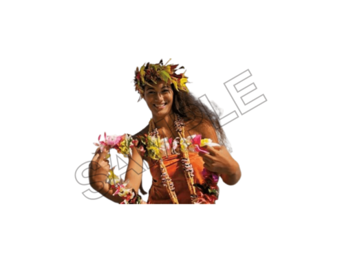 beautiful tahiti beach summer sample image png