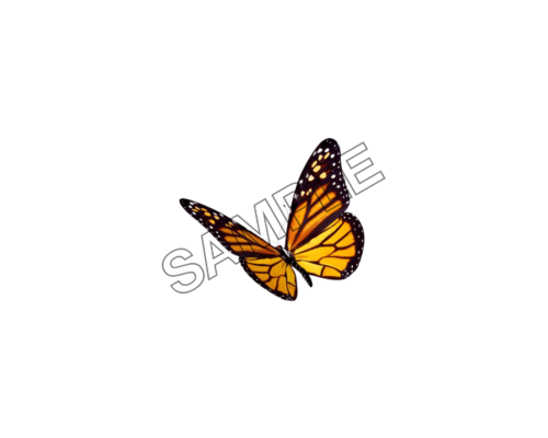 happy Butterfly sample image png