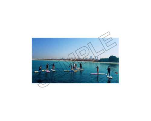 dubai surfing sample image png