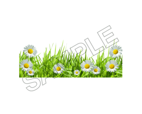 flowers sample image png