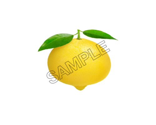 lemon item sample image png