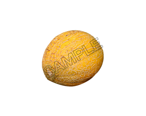 melon exquisite sample image png