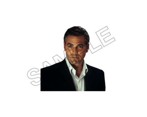 famous actors and singers sample image png