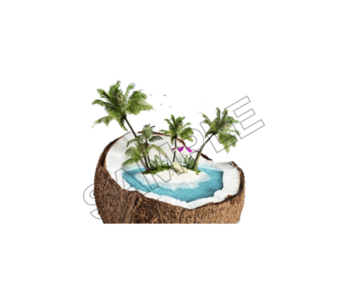 summer vacations sample image png