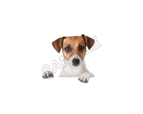 pets sample image png