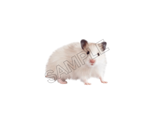 animals sample image png