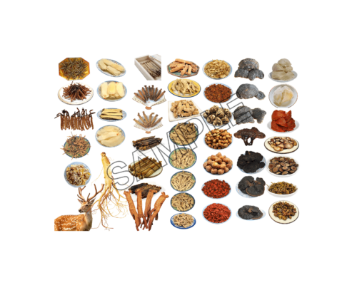 chinese food sample image png