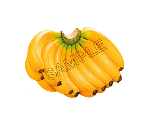 banana full-blown sample image png