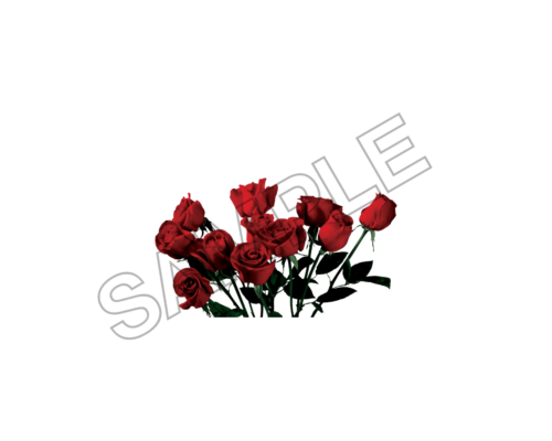 flowers sample image png