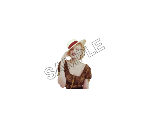 Marilyn Monroe Hat sample image png