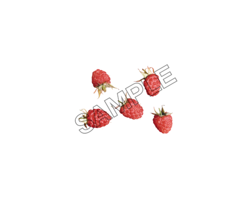 raspberry bunch sample image png