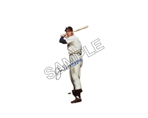 Joe DiMaggio New York Yankees baseball player sample image