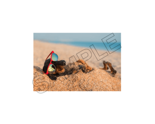 relax and fun summer sample image png