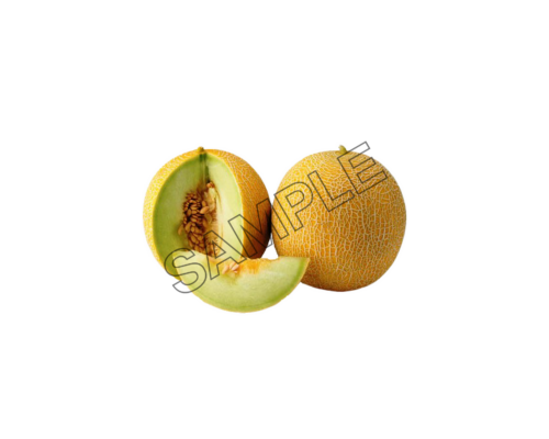 melon tasty sample image png