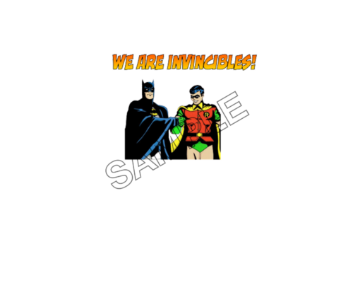 batman and robin sample image png