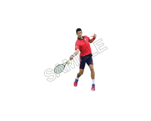 novak djokovic sample image png