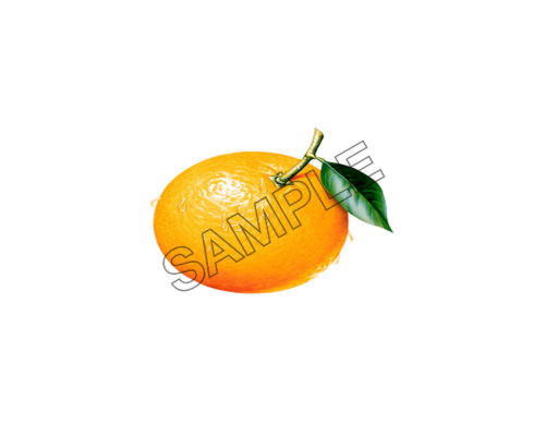 orange delicious sample image png