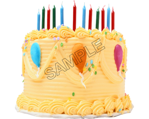 chocolate cake sample image png